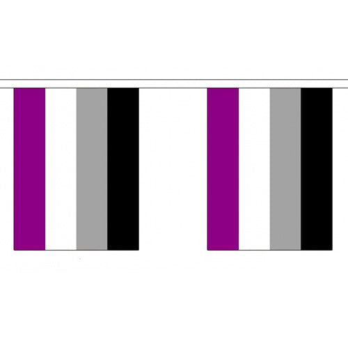 Asexual Pride Flag Bunting Small (3m x 10 flags)