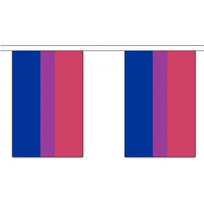 Bisexual Pride Rainbow Flag Bunting Small (3m x 10 flags)