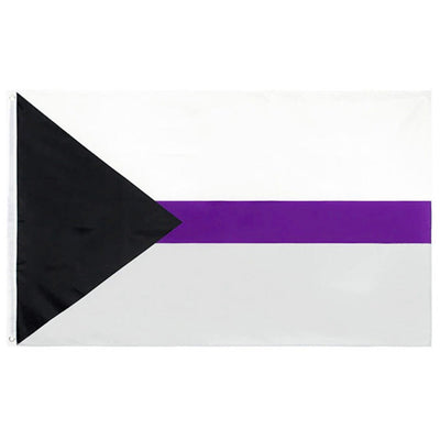 Demisexual Pride Flag (5ft x 3ft Premium)