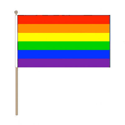Gay Pride Rainbow Hand Held Flag (22.5cm x 15cm)