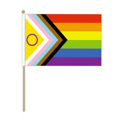 Intersex Progress Pride Hand Held Flag (22.5cm x 15cm)
