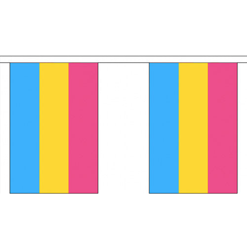 Pansexual Pride Flag Bunting Small (3m x 10 flags)