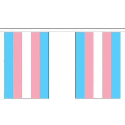 Transgender Pride Rainbow Flag Bunting Small (9m x 10 flags)