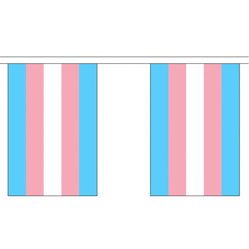 Transgender Pride Flag Bunting Small (3m x 10 flags)