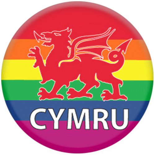 Gay Pride Rainbow Welsh Dragon Small Pin Badge